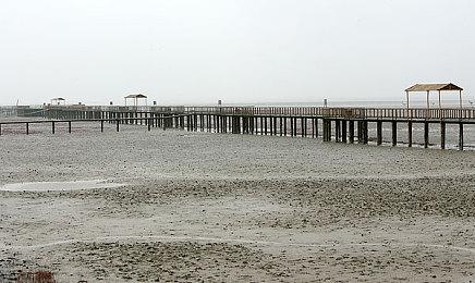 传闻：PC版《死亡回归》将支持Steam Deck